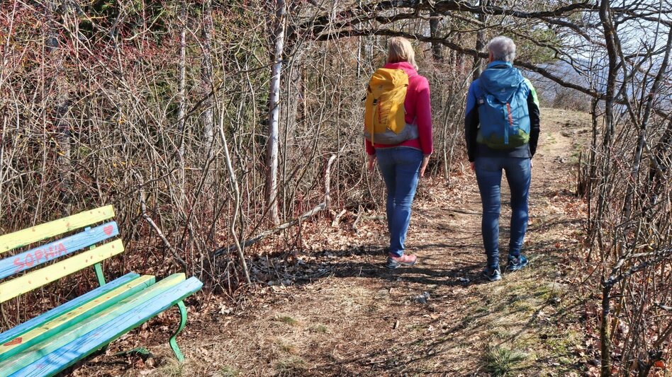 Wanderung Blütenwanderung am Häuselberg - Die Gokoloanzen blüht - Touren-Impression #2.7 | © Weges OG