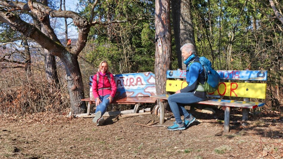 Wanderung Blütenwanderung am Häuselberg - Die Gokoloanzen blüht - Touren-Impression #2.8 | © Weges OG