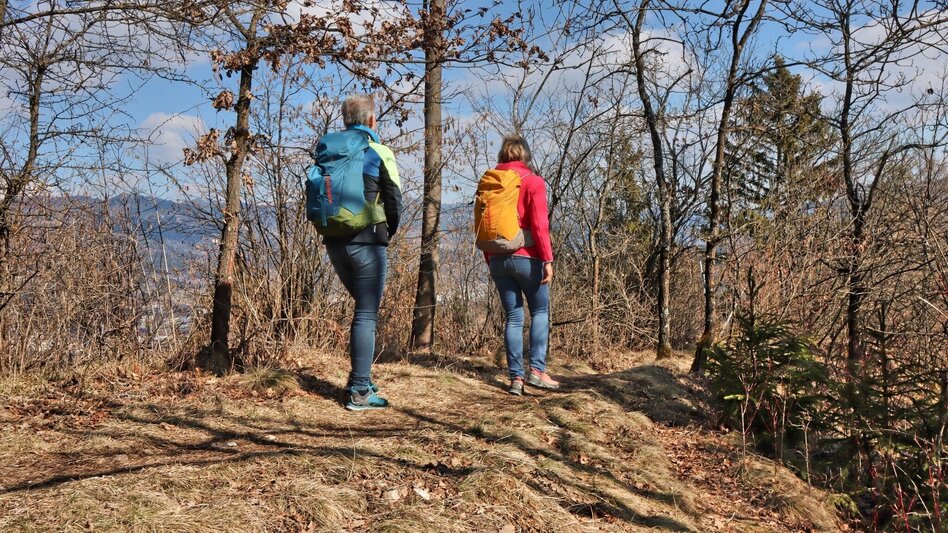 Wanderung Blütenwanderung am Häuselberg - Die Gokoloanzen blüht - Touren-Impression #2.11 | © Weges OG