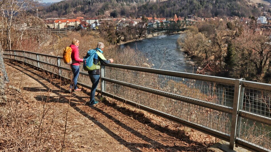 Wanderung Blütenwanderung am Häuselberg - Die Gokoloanzen blüht - Touren-Impression #2.12 | © Weges OG