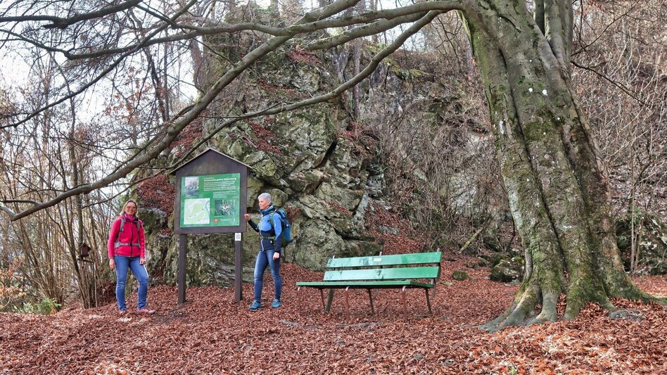 Wanderung Blütenwanderung am Häuselberg - Die Gokoloanzen blüht - Touren-Impression #2.14 | © Weges OG