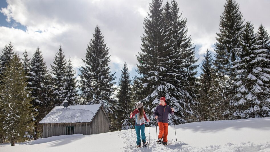 Snowshoe walking Snowshoe hike on the Tauplitzalm - Touren-Impression #2.1 | © Salzkammergut