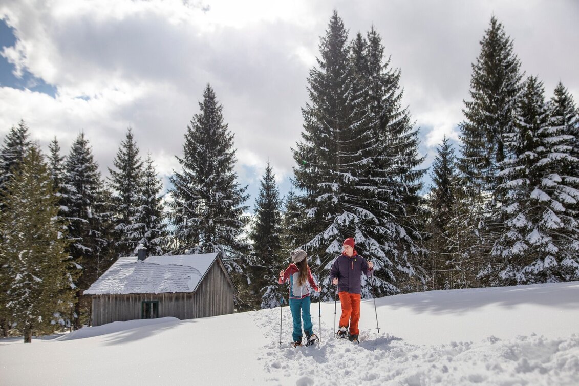 Snowshoe walking Snowshoe hike on the Tauplitzalm - Touren-Impression #1 | © Salzkammergut