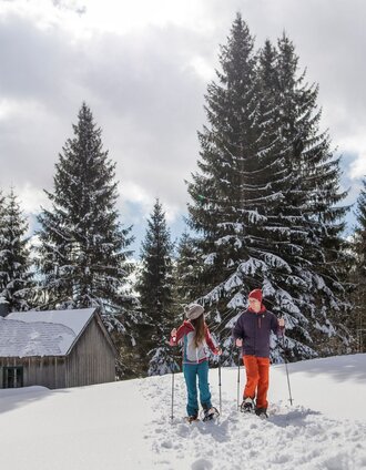 schneeschuhwanderung auf der tauplitzalm_img_66838376 | Michael Grössinger | © Salzkammergut