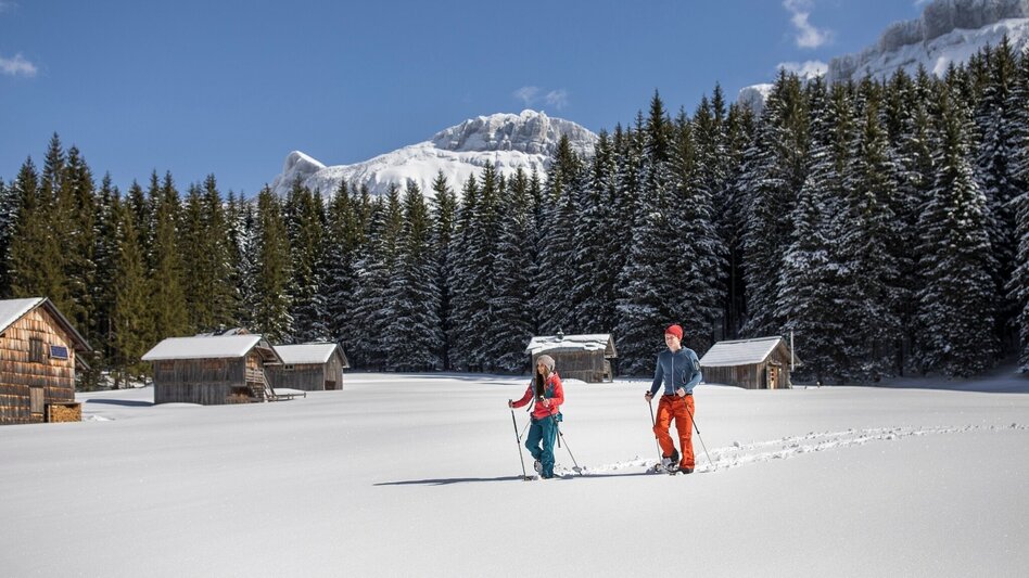 Schneeschuh Schneeschuhwanderung in der Blaa Alm - Touren-Impression #2.1 | © Salzkammergut