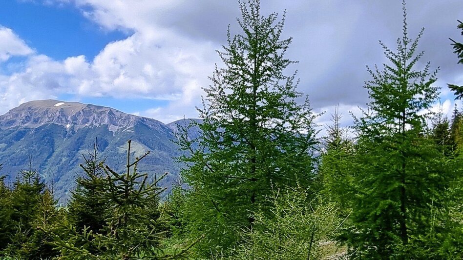 Wanderung Der alpine Bahnwanderweg "Welterberegion - Naturpark Mürzer Oberland" - Touren-Impression #2.3 | © TV Hochsteiermark