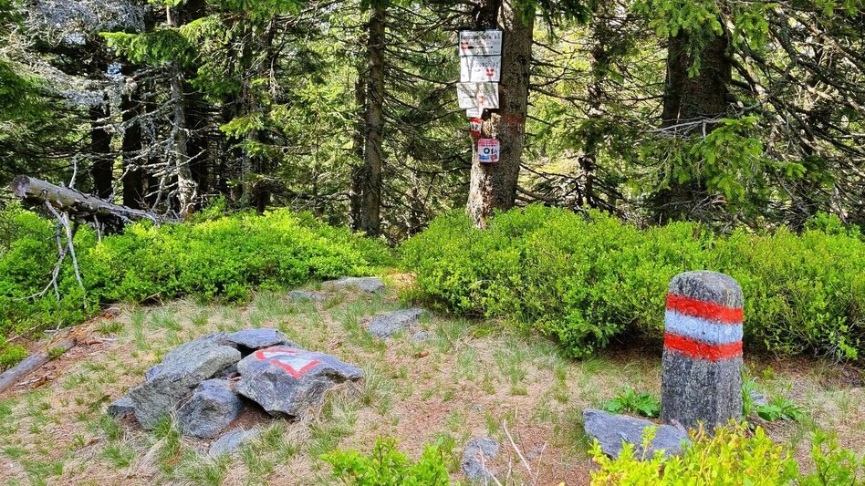 Wanderung Der alpine Bahnwanderweg "Welterberegion - Naturpark Mürzer Oberland" - Touren-Impression #2.13 | © TV Hochsteiermark