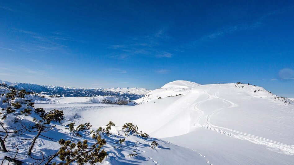 Schneeschuh Schneeschuhwanderung am Lawinenstein - Touren-Impression #2.1 | © Die Tauplitz_Tom Lamm