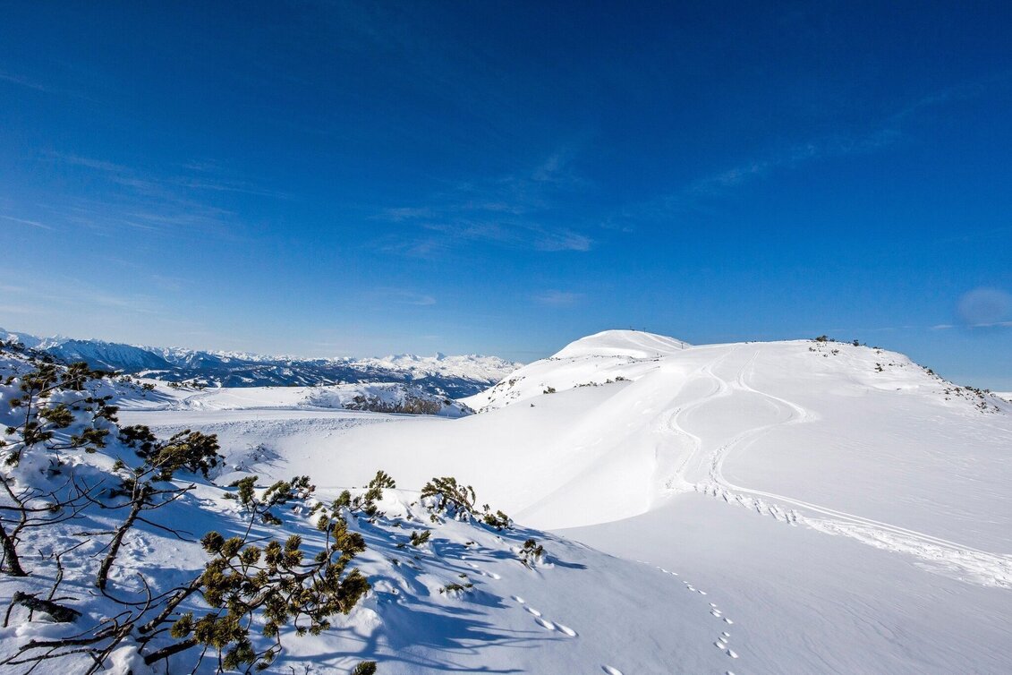 Schneeschuh Schneeschuhwanderung am Lawinenstein - Touren-Impression #1 | © Die Tauplitz_Tom Lamm