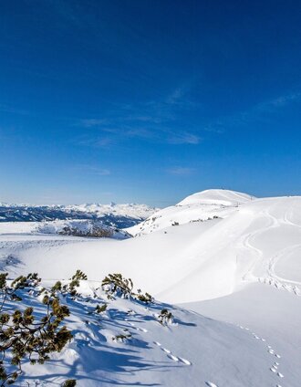 Lawinenstein im Winter | © Die Tauplitz_Tom Lamm