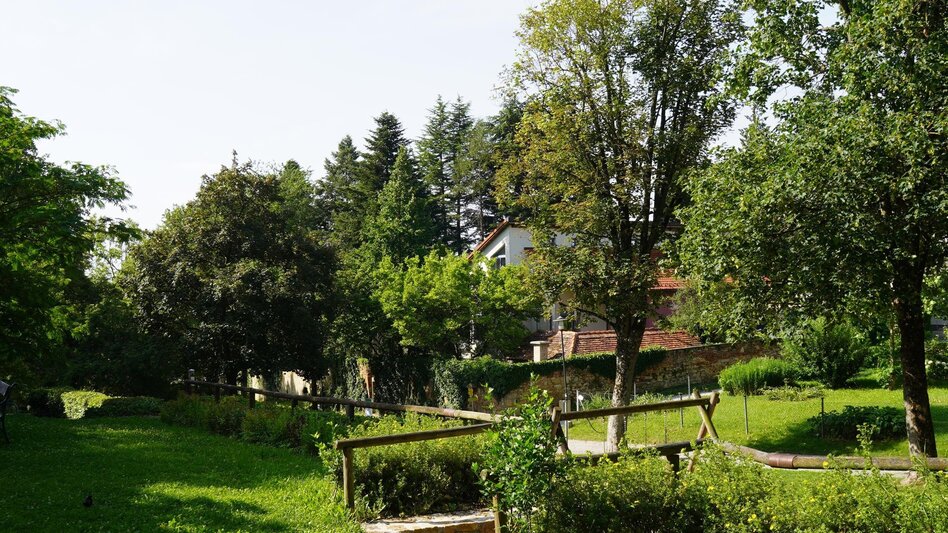 Bike Riding Pöllau cycle path R57, Hartberg - Touren-Impression #2.5 | © Oststeiermark Tourismus