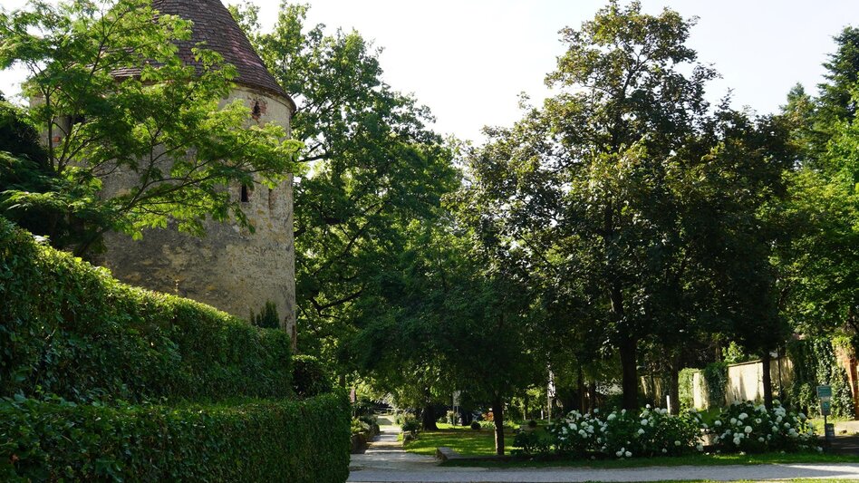 Bike Riding Pöllau cycle path R57, Hartberg - Touren-Impression #2.6 | © Oststeiermark Tourismus