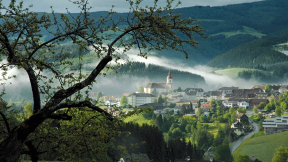Bike Riding Pöllau cycle path R57, Hartberg - Touren-Impression #2.7 | © Oststeiermark Tourismus