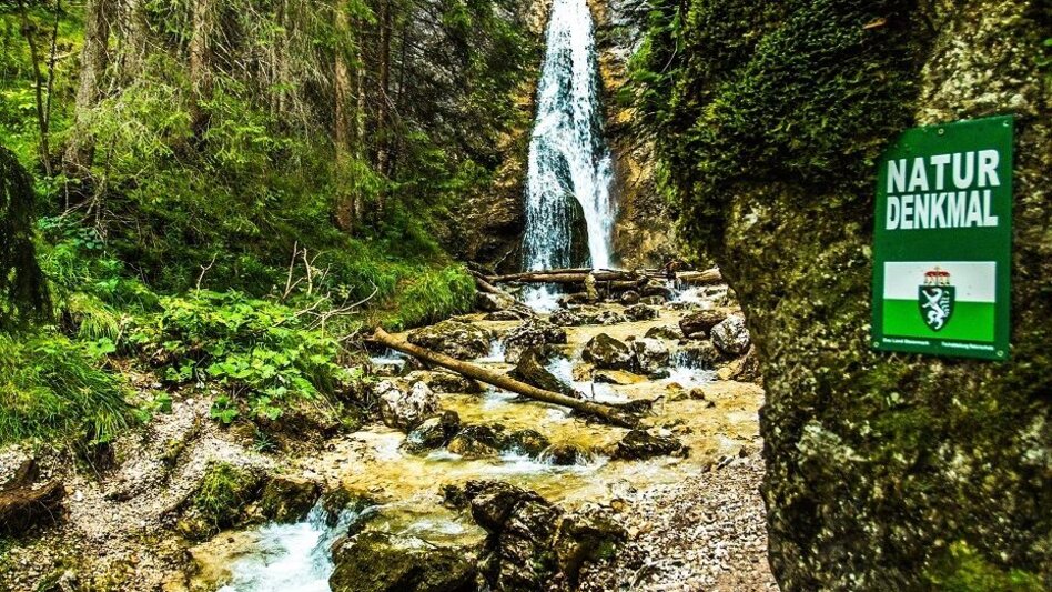 Regional hiking trail Lake: Ahornsee-Tour - Touren-Impression #2.4 | © TVB Haus-Aich-Gössenberg@René Eduard Perhab
