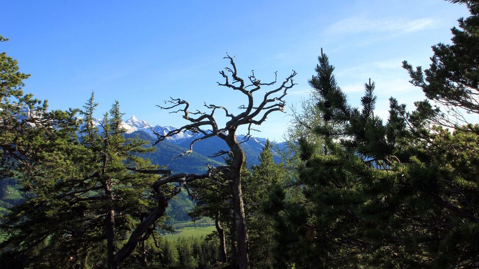 Wanderung Freienstein-Runde über Kunagrün - Touren-Impression #2.8 | © Erlebnisregion Schladming-Dachstein