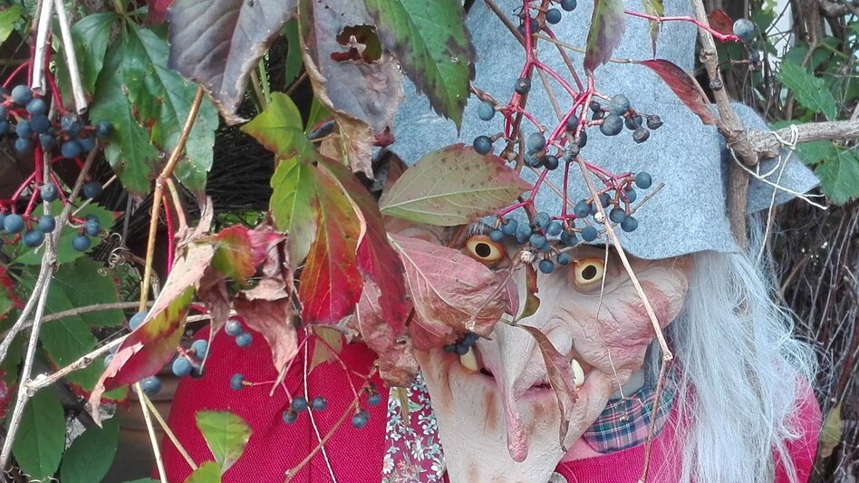 Hiking route River Rittschein tour Söchau (Rittscheintour Söchau) - Touren-Impression #2.1 | © Manuela Schweinzer-Riegler