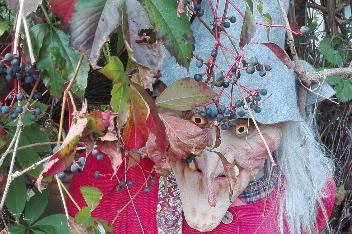 Hiking route River Rittschein tour Söchau (Rittscheintour Söchau) - Touren-Impression #1 | © Manuela Schweinzer-Riegler