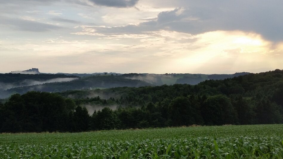 Hiking route River Rittschein tour Söchau (Rittscheintour Söchau) - Touren-Impression #2.8 | © Gemeinde Söchau