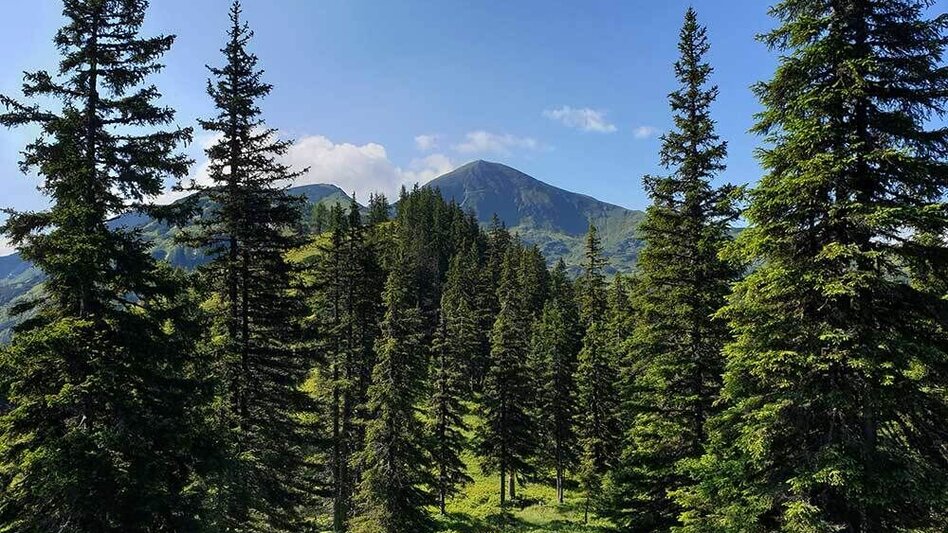 Hiking route Gumpeneck über Öblarn - Touren-Impression #2.1