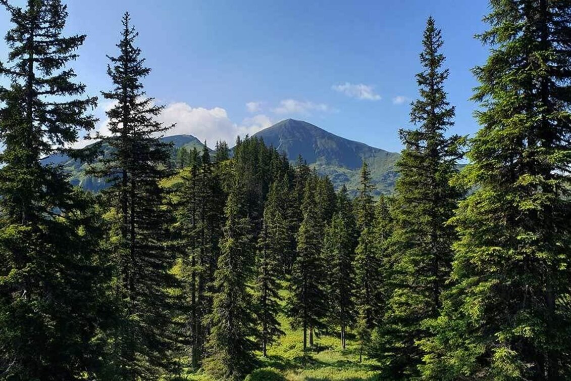 Hiking route Gumpeneck über Öblarn - Touren-Impression #1