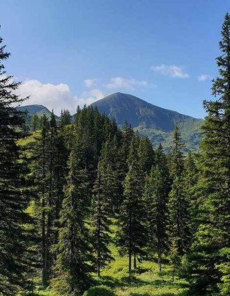 Gumpeneck ab Öblarn.jpg