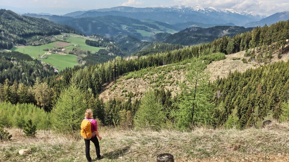 Wanderung Styrian Iron Trail - 9. Etappe St.Peter-Freienstein - Niklasdorf - Touren-Impression #2.10 | © Tourismusverband ERZBERG LEOBEN