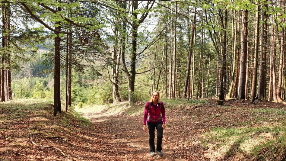 Wanderung Styrian Iron Trail - 9. Etappe St.Peter-Freienstein - Niklasdorf - Touren-Impression #2.16 | © Tourismusverband ERZBERG LEOBEN