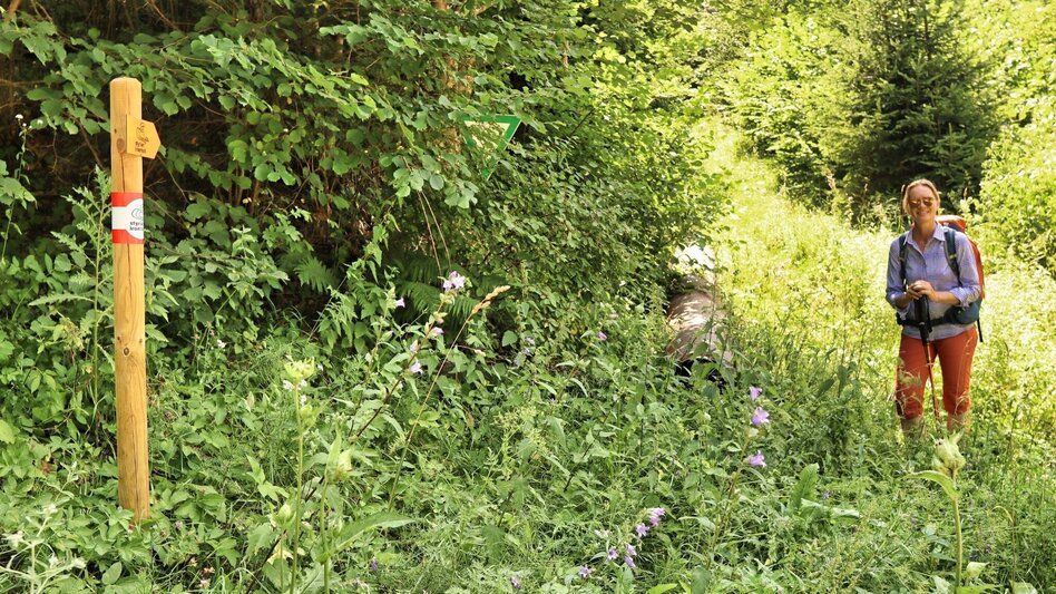 Wanderung Styrian Iron Trail - 9. Etappe St.Peter-Freienstein - Niklasdorf - Touren-Impression #2.17 | © Weges OG