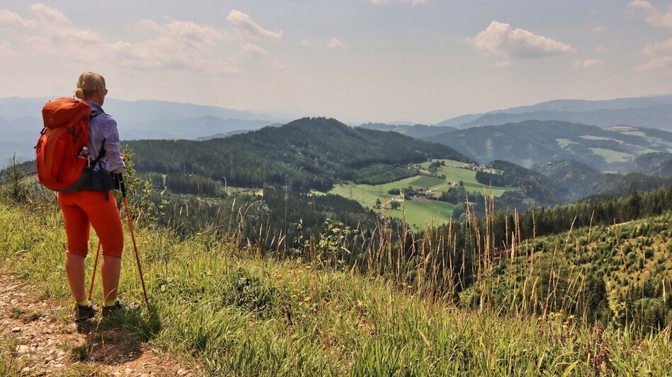 Wanderung Styrian Iron Trail - 9. Etappe St.Peter-Freienstein - Niklasdorf - Touren-Impression #2.18 | © Weges OG