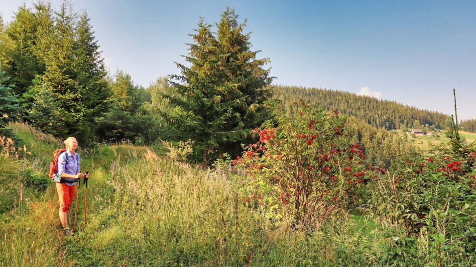 Wanderung Styrian Iron Trail - 9. Etappe St.Peter-Freienstein - Niklasdorf - Touren-Impression #2.20 | © Tourismusverband ERZBERG LEOBEN