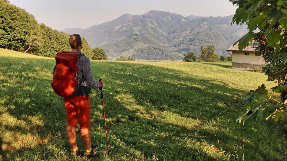 Wanderung Styrian Iron Trail - 9. Etappe St.Peter-Freienstein - Niklasdorf - Touren-Impression #2.21 | © Weges OG