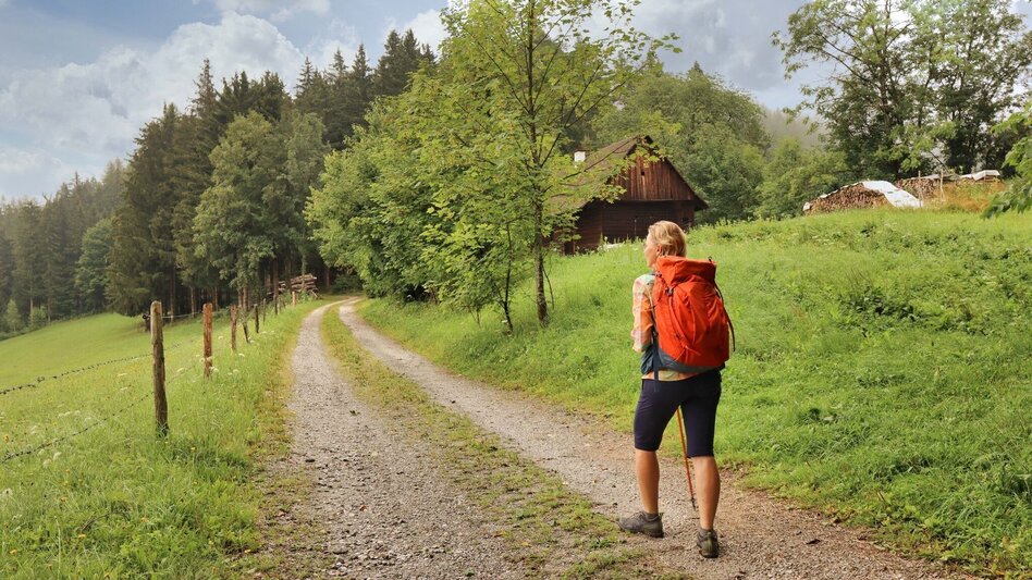 Wanderung Styrian Iron Trail - 10. Etappe Niklasdorf - Leoben - Touren-Impression #2.5 | © Weges OG