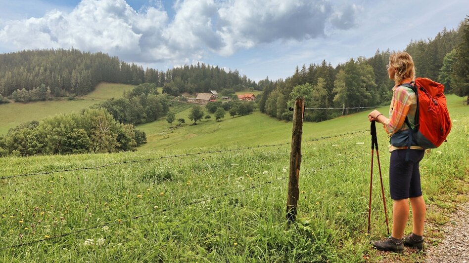 Wanderung Styrian Iron Trail - 10. Etappe Niklasdorf - Leoben - Touren-Impression #2.7 | © Weges OG