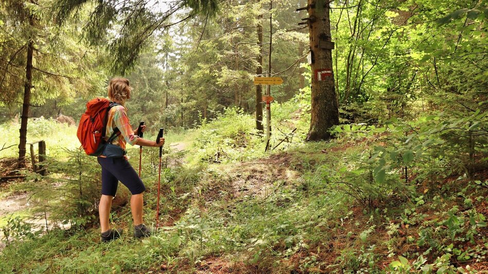 Wanderung Styrian Iron Trail - 10. Etappe Niklasdorf - Leoben - Touren-Impression #2.6 | © Weges OG