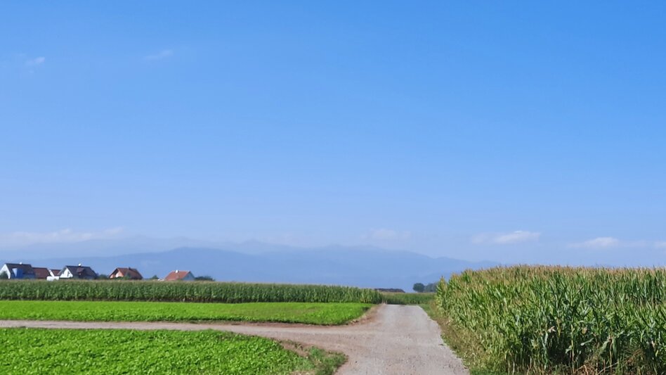 Bike Riding Biketour Zeltweg-Kleinfeistritz - Touren-Impression #2.1 | © WEGES OG