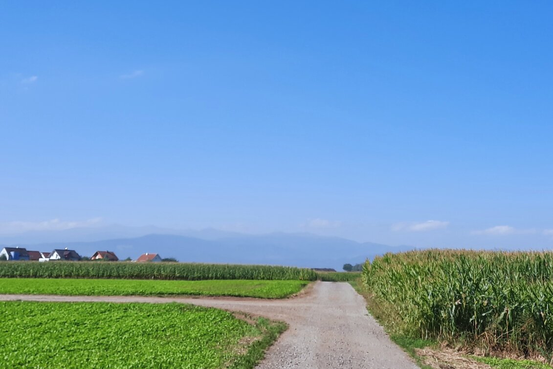 Bike Riding Biketour Zeltweg-Kleinfeistritz - Touren-Impression #1 | © WEGES OG