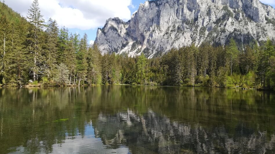 Wanderung Rund um den Grünen See - Touren-Impression #2.1 | © FVV  Tragöß - St. Katharein