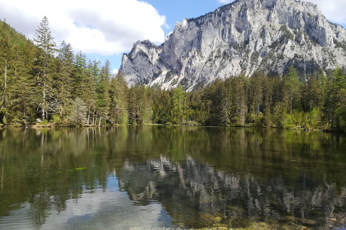 Wanderung Rund um den Grünen See - Touren-Impression #1 | © FVV  Tragöß - St. Katharein