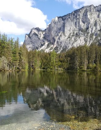 Kreuzteich | Silvia Breitenegger | © FVV  Tragöß - St. Katharein