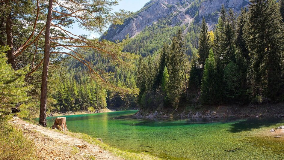 Wanderung Rund um den Grünen See - Touren-Impression #2.4 | © FVV  Tragöß - St. Katharein