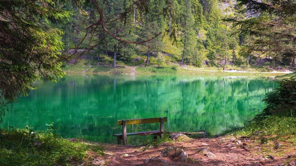 Wanderung Rund um den Grünen See - Touren-Impression #2.5 | © FVV  Tragöß - St. Katharein