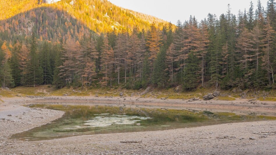 Wanderung Rund um den Grünen See - Touren-Impression #2.6 | © FVV  Tragöß - St. Katharein