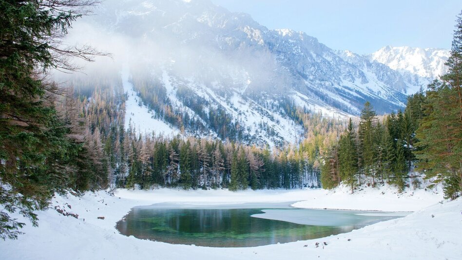 Wanderung Rund um den Grünen See - Touren-Impression #2.7 | © FVV  Tragöß - St. Katharein