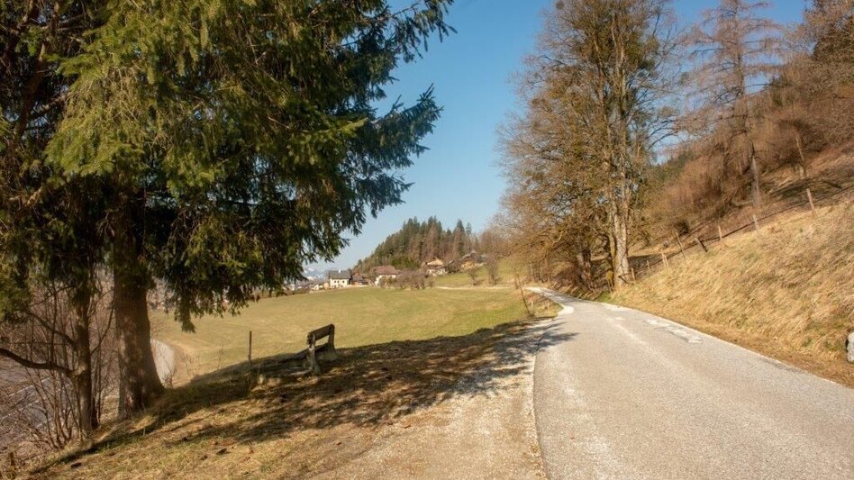 Wanderung Mitterbergrunde - Lassing - Touren-Impression #2.2 | © TV Gesäuse