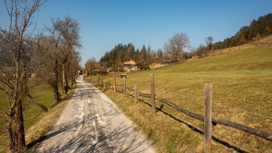 Wanderung Mitterbergrunde - Lassing - Touren-Impression #2.3 | © TV Gesäuse