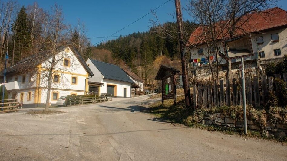 Wanderung Mitterbergrunde - Lassing - Touren-Impression #2.4 | © TV Gesäuse