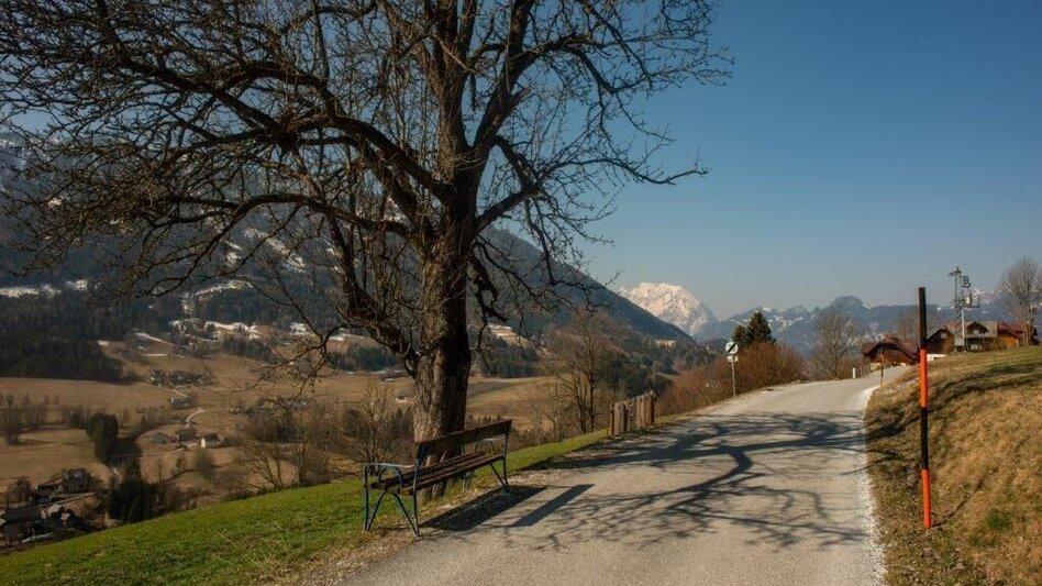Wanderung Mitterbergrunde - Lassing - Touren-Impression #2.5 | © TV Gesäuse