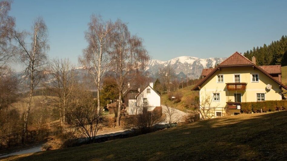 Wanderung Mitterbergrunde - Lassing - Touren-Impression #2.6 | © TV Gesäuse