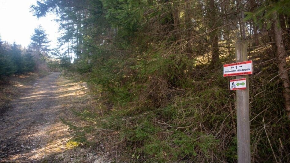 Wanderung Mitterbergrunde - Lassing - Touren-Impression #2.7 | © TV Gesäuse