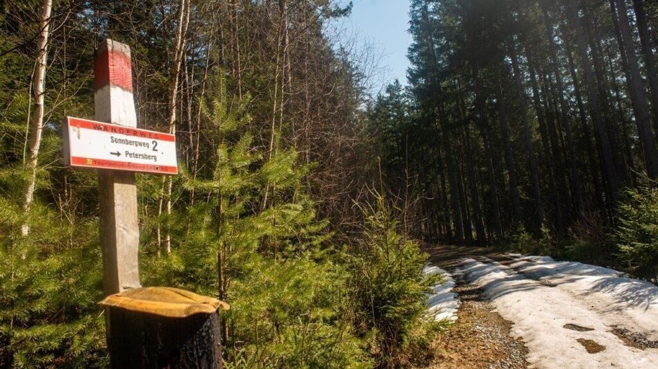 Wanderung Sonnbergrunde - Lassing - Touren-Impression #2.6 | © TV Gesäuse